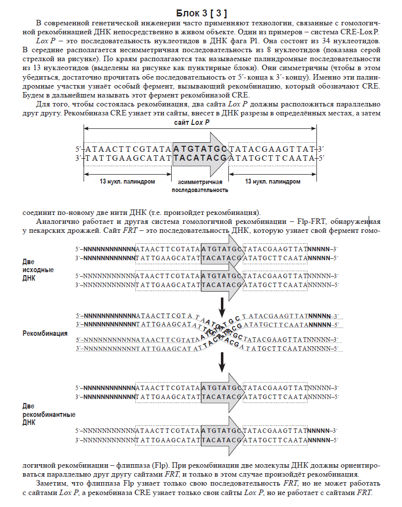 Палиндромные последовательности ДНК. Результаты олимпиады по биологии ломоносова